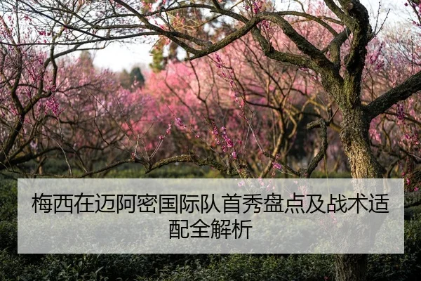 梅西在迈阿密国际队首秀盘点及战术适配全解析